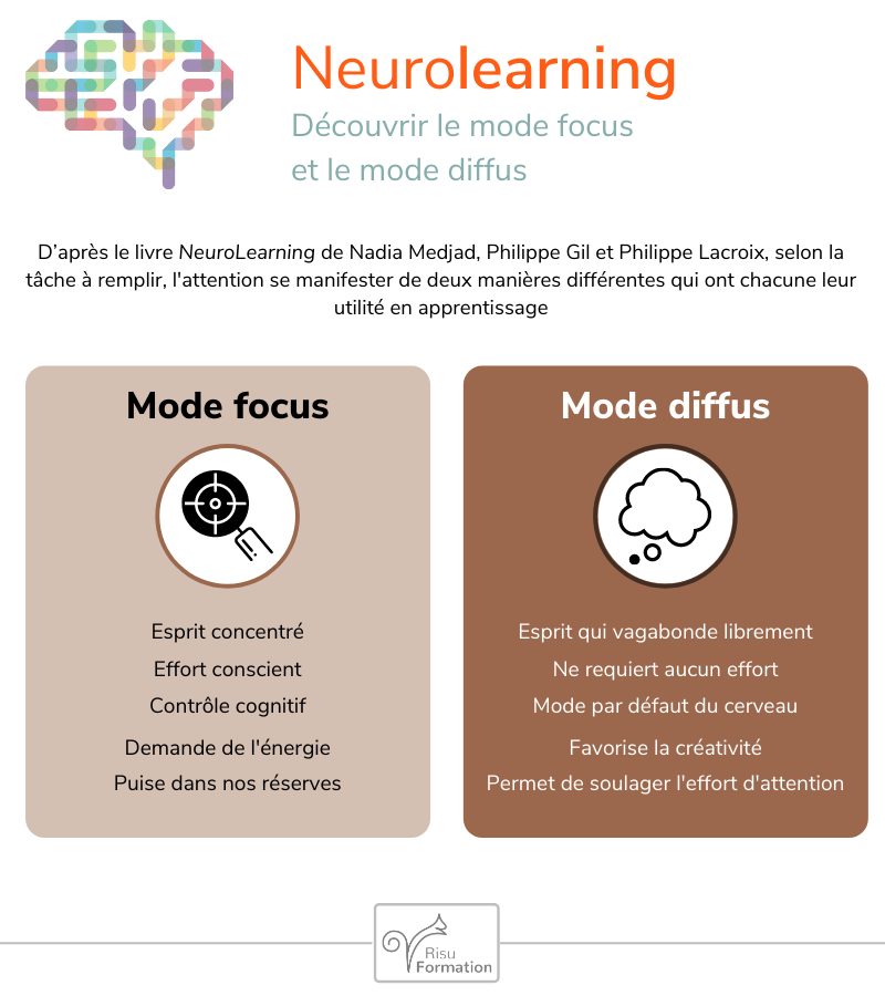 Infographie de la semaine : mode focus et mode diffus de l'attention.